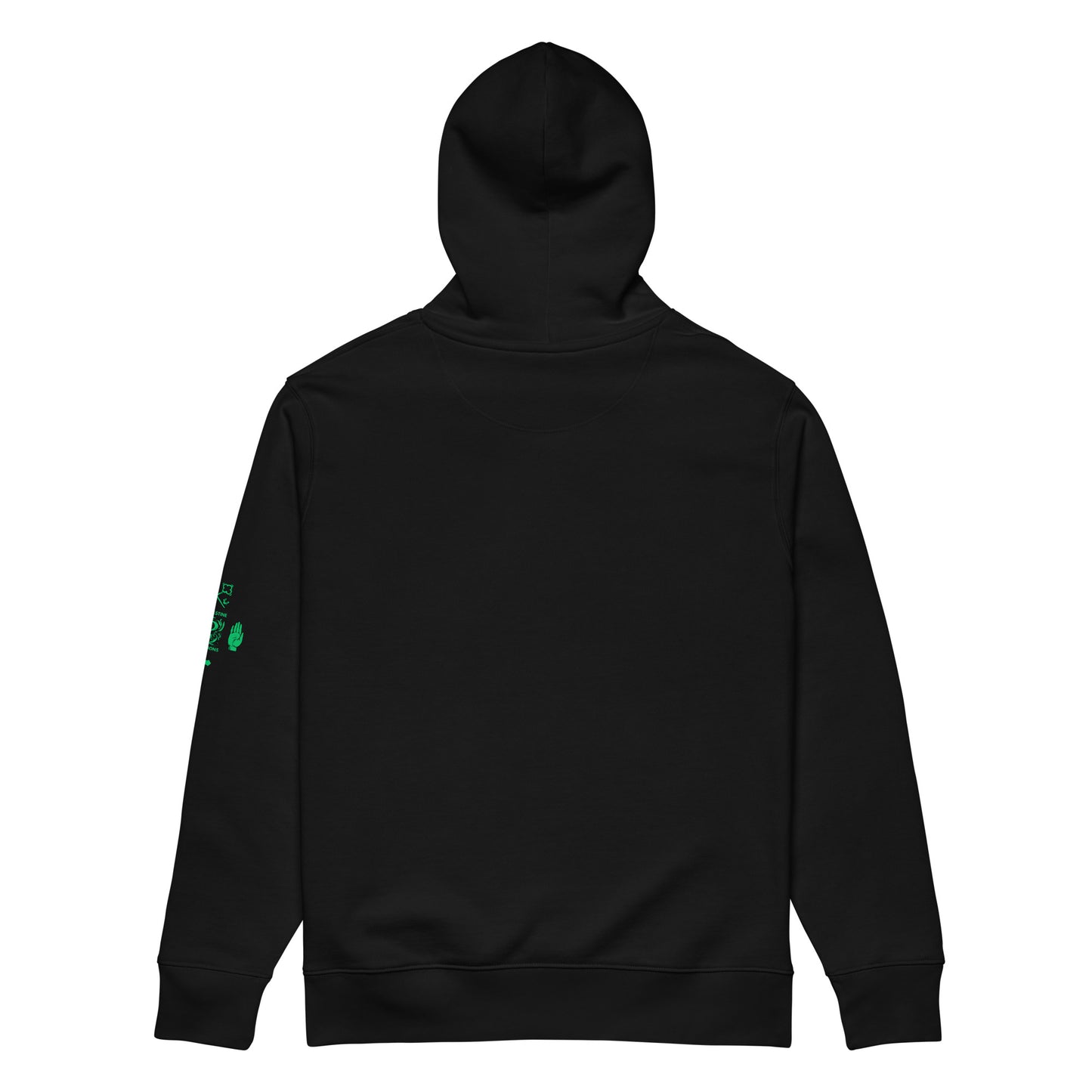 THE HOUSE OF PALLACCI HOODED SWEATSHIRT unisex-essential-eco-hoodie-black-back-67b682990c99c